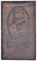 1926. "Magyarság Dal és Önképző Egyesület Dunakeszi" egyoldalas Br plakett (202x119mm) T:2...