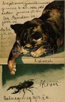 Cat, Emb. litho