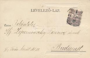 SMS Wörth / K.u.K. navy, battleship; Emb. frame