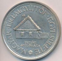 Lapis András (1942-) 1981. "10 éves a Kiskőrösi Csoport" Ag emlékérem (34,89g/0.640/42,5mm...