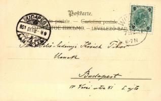 Art Nouveau litho postcard, Theo. Stroefer's Kunstverlag Serie 99. No. VI. s: Raphael Kirchner