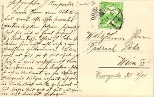 MFTR SS Erzsébet Királyné, photo