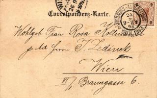 1898 Jubiläums Ausstellung, Wien, Kunstanstalt S. Czeiger / Vienna Exposition litho