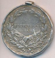 1917. "Károly Ezüst Vitézségi Érem II. osztály" kitüntetés mellszalag nélkül. Szign.: Kaut...