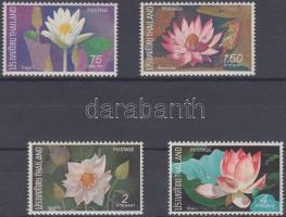 Lótuszvirágok sor, Lotus flowers set