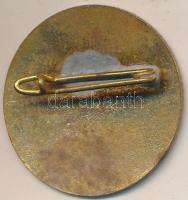 ~1970. "Siófok - Balaton" aranyozott, zománcozott fém jelvény T:2