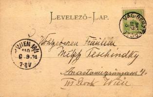 Zsigmondháza, Vágzsigmondháza; Balassa-kastély, Gansel Lipót kiadása / view with castle