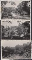 Kolozsvár, Botanikus kert / Botanical garden - 3 db régi képeslap / 3 old postcards