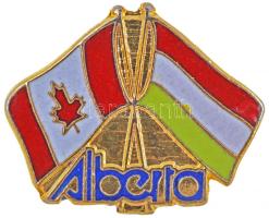 Kanda DN "Alberta" zászlós tartományi aranyozott, zománcozott fém kitűző hátoldalon "JUNIPER LACOMB ALTA. CAN." gyártói jelzéssel T:1 Canada ND "Alberta" gilt, enamelled metal flag badge, on the back with makers mark "JUNIPER LACOMB ALTA. CAN." C:UNC