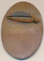 1902. "I. István Gimnázium" zománcozott Br jelvény (38x28mm) T:2- zománchiba