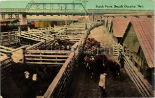 Omaha, South Omaha, Nebraska; Stock Pens