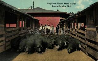 Omaha, South Omaha, Nebraska; Hog Pens, Union Stock Yards (fa)