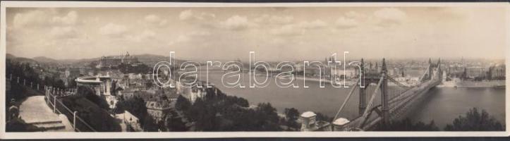 cca 1920-1930 A. Schweizer: Budapest a régi Erzsébet híddal, panorámafotó, pecséttel jelzett, 29x8 cm