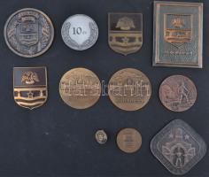 13db magyar városok témájú emlékérmek, jelvények és plakettek, közte Iván István (1905-1968) DN "Kőszeg - Jurisich Miklós" Br emlékérem (60mm), 1975. "Szolnok 900 éves 1075-1975" Br emlékplakett (84mm) T:vegyes