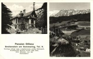 Breitenstein am Semmering, Pension Dillenz / hotel (EK)