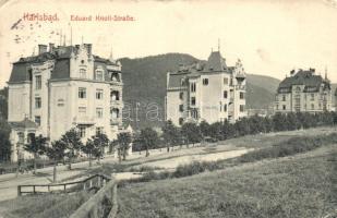 Karlovy Vary, Karlsbad; Eduard Knoll Strasse / street, Villa Bayer, villas (small tear)