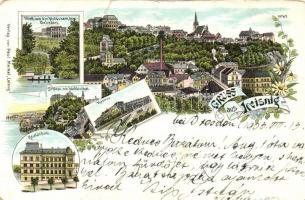 Leisnig, Kaserne, Schloss, Realschule, Muldenthal, Hotel Belvedere / barrack, castle, school, valley, hotel floral litho (b)