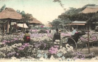 Tokyo, Horikiri, Iris Garden, rickshaw (r)