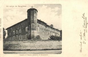 Savigliano, Castello di Genola / castle (EK)