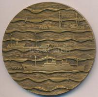 Lengyelország 1971. "Gdynia - Dalmor" Br tengerészeti plakett dísztokban (70mm) T:2
Poland...