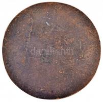 DN "Irinyi János 1817-1895" Br plakett (100mm) T:2