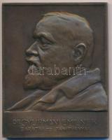 Visnyovszky Lajos (1890-1973) 1921. "Dr. Gyurmán Emil" orvos bronz plakett (75x60mm) T:2 Hungary 1921. "Dr. Emil Gyurmán" doctor Br plaque. Sign: Lajos Visnyovszky (75x60mm) C:XF HP-6452.