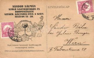 Sándor Kálmán Szőlő nagybirtokos és borpincészet, reklám / Hungarian wine cellar advertisement (b)