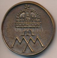 2000 "Magyar Millennium" Br emlékérem (55mm) T:2