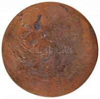 DN "Dr Cserháti József" Br emlékplakett (80mm) T:2