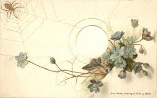 Floral litho, mechanical card (i.e. with a gap for photos); Aug. Lesse D.R.P. a no. 22.