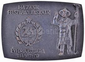 1970. "Vas-Fém és Villamosenegiaipari Dolgozók Szakszervezete Kohász Bizottsága / Hazánk Felszabadulásának 25. Évfordulójára 1945-1970" fém plakett eredeti, kissé sérült adományozói dísztokban (67x48mm) T:1-