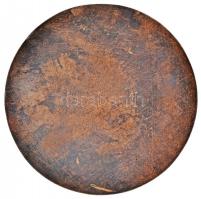 1971. "Csepeli Papírgyár Sport Club 1946-1971" Br emlékérem tokban (97mm) T:2