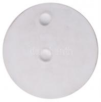 DN "Keszthelyi Agrártudományi Egyetem" jelzett herendi bisquit porcelán emlékérem az egyet...