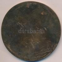 DN "Magyar Olajipari Múzeum" Br plakett (78mm) T:2
