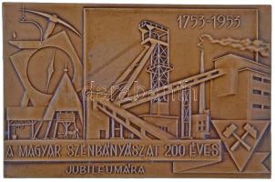 1953. "A magyar szénbányászat 200 éves jubileumára 1753-1953" Br plakett tokban (100x60mm) T:2