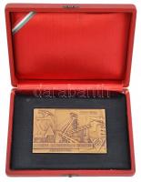 1953. "A magyar szénbányászat 200 éves jubileumára 1753-1953" Br plakett tokban (100x60mm)...