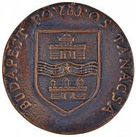 DN "Budapesti Művészeti Hetek / Budapest Főváros Tanácsa" Br emlékérem dísztokban (68mm) T...