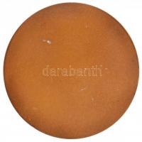 ~1970. "Csepel Vas- és Fémművek Budapest" fém emlékérem eredeti dísztokban (60mm) T:1