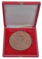 DN "Társadalmi Munkáért / Mosonszolnok Újrónafő - Községi Közös Tanács" Br emlékplakett to...