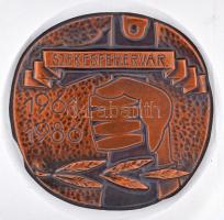 1986. "Székesfehérvár 1961-1986" Cu plakett tokban, nem kivehető (100mm) T:2