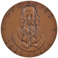 DN "Comenius 1592-1670 - Illustris Schola Sárospatak" Br emlékérem (70mm) T:2