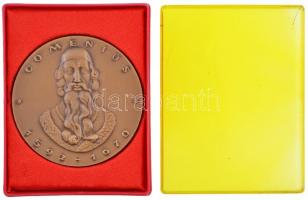 DN "Comenius 1592-1670 - Illustris Schola Sárospatak" Br emlékérem (70mm) T:2