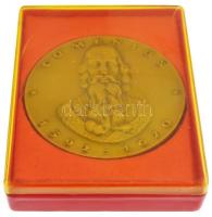 DN "Comenius 1592-1670 - Illustris Schola Sárospatak" Br emlékérem (70mm) T:2