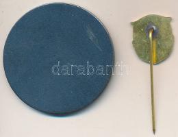 DN "Gyógyszerkutató Intézet - 25 éves törzsgárda" fém emlékérem és jelvény eredeti tokban ...