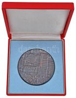 DN Holocaust Br emlékplakett, tokban (80mm) T:2