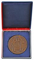 1967. "Csepel Vas- és Fémművek 75 év 1892-1967." Br emlékérem tokban (60mm) T:2