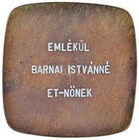 1965. "Magyar Műszeripari Kutatóintézet tizenöt éves fennállására 1950-65" Br emlékplakett...