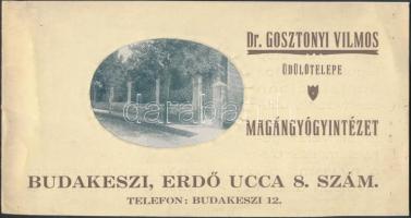 Dr. Gosztonyi Vilmos üdülőtelepe, Magángyógyintézetet (Budakeszi, Erdő ucca) ismertető képekkel illusztrált füzetecske. 9x17cm