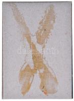 1984. "Szeged - Odessza" fém emlékérem tokban, naptárral (90x65mm) T:2