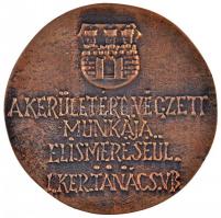 DN "A kerületért végzett munkája elismeréséül. I. Kerületi Tanács VB." Br emlékplakett tok...